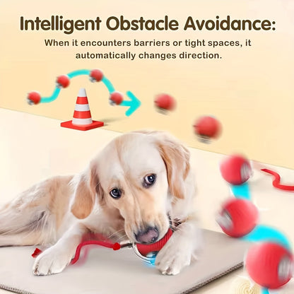 Automatic 360° Rolling Pet Ball - Grinding and Soothing Function,